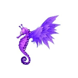 Purple Featherwing Seahorse